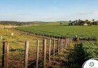 Morador de Figueirópolis D'Oeste Protocoliza Ação de Usucapião de 24 Hectares