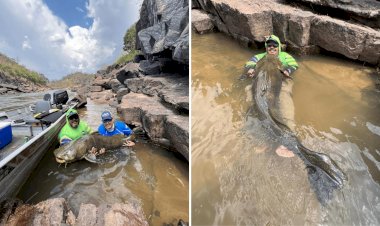 Gigante Jaú de 1,5 Metro é Capturado e Devolvido ao Rio Araguaia em Baliza