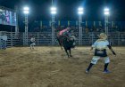 Rodeio, show e outros eventos movimentam segundo dia da Exponovo