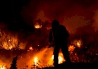 Queimadas no cerrado estão proibidas até 30 de novembro