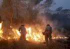 Período proibitivo do uso do fogo no Pantanal começa no dia 1º de junho