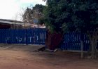 Agricultor morre enroscado em cerca de madeira ao tentar pular bar no P.A Santo Idelfonso