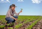 Sicredi reconhece protagonismo feminino e está presente no maior encontro de mulheres do Agronegócio