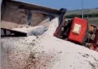 Motorista morre ao tombar caminhão na zona rural de Canarana