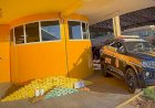 Polícia Rodoviária Federal apreende mais de 150 kg de cocaína em operação na BR-070, em Primavera do Leste