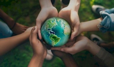 Sicredi neutraliza mais de 34 mil toneladas de carbono