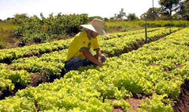 Sefaz reduz tempo para liberação de inscrição estadual de micro e produtores rurais
