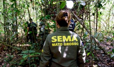 Governo de MT já aplicou R$ 303 milhões em multas por crimes ambientais em 2024