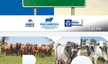 Sindicato Rural de Campinápolis realiza em agosto a 3ª Feira Pró-Genética