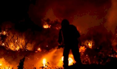 Queimadas no cerrado estão proibidas até 30 de novembro