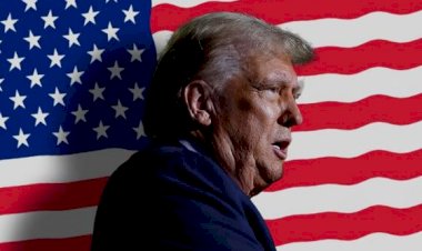 Donald Trump vence Kamala Harris e voltará à Casa Branca após 4 anos