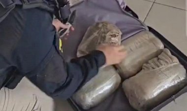 Passageira é presa com mais de 13kg de drogas em ônibus na BR-070