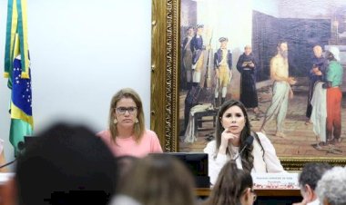 Após manobra, deputados retomam discussão sobre voto impresso na CCJ da Câmara