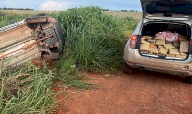 Polícia Militar apreende 274 tabletes de supermaconha em Campo Verde; prejuízo às facções é de R$ 4,5 milhões