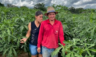 Prefeitura de Água Boa intensifica apoio à agricultura familiar para fortalecer produção local