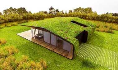 Arquitetura Verde: A Integração de Materiais Naturais na Construção