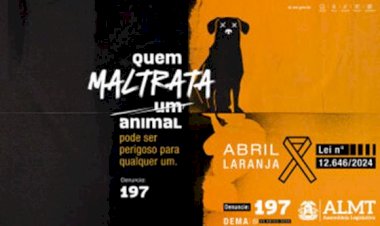 Campanha da ALMT para conscientizar sobre abuso contra animais é destaque em site internacional