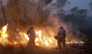 Período proibitivo do uso do fogo no Pantanal começa no dia 1º de junho