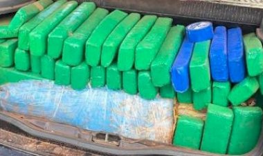 Trio é detido por tráfico com 485 kg de maconha; grupo viajava com criança