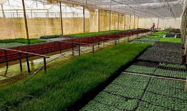 Seaf e Banco Mundial promovem missão técnica para lançamento do Programa MT Produtivo – Desenvolvimento e Sustentabilidade