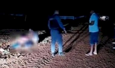 Vigilante mata funcionário de fazenda a tiros após discussão em porteira na região do Araguaia