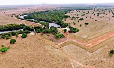Aos 75 anos, Amado Batista tem fortuna de R$ 1 bilhão e ganha R$ 120 milhões por ano com gado