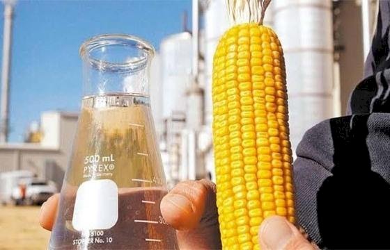 Mato Grosso vai receber mais uma grande usina de etanol de milho