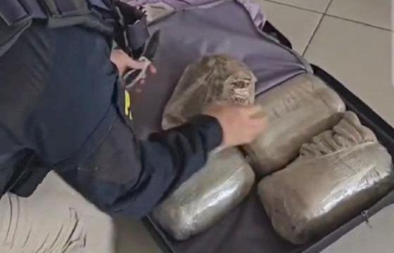 Passageira é presa com mais de 13kg de drogas em ônibus na BR-070