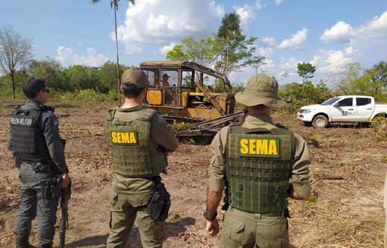 MT desmata 170 mil hectares ilegalmente em menos de um ano, aponta estudo