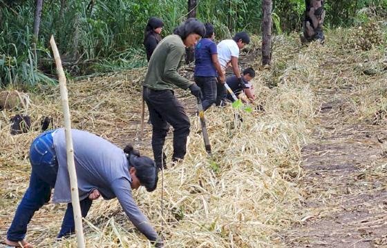 Projeto incentiva a produção de alimentos e geração de renda em aldeias da etnia Xavante