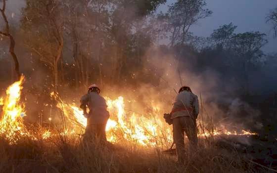 Período proibitivo do uso do fogo no Pantanal começa no dia 1º de junho
