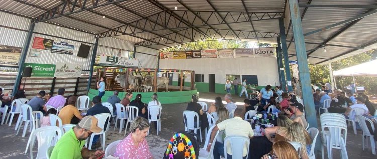 Sicredi Araxingu apoia o agro e marca presença no Primeiro Leilão de São João em Bom Jardim de Goiás/GO