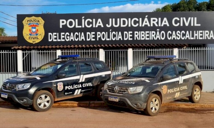 Polícia Civil prende em flagrante mulher que espancou filhos na região do Araguaia