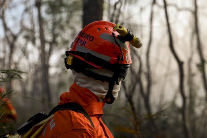 Bombeiros combatem incêndios florestais em Canarana e outras regiões do Estado