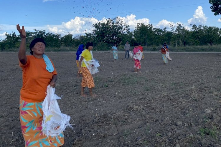 BNDES lança edital de R$ 10 milhões para restaurar florestas em terras indígenas de MT, TO e MA; Araguaia-Xingu pode ser contemplada